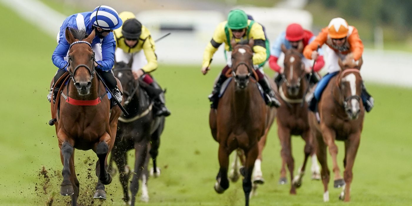 Florida derby 2025: things you must not miss 1 Generic horse flat 1 scaled 5abed36d