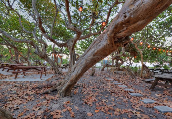 Unveiling fort lauderdale's hidden gems: discover the city's best-kept secrets 2 Fort lauderdale