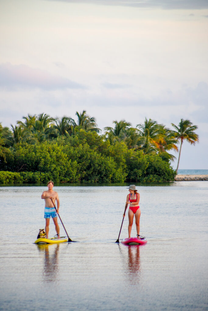 6 hidden gems in miami that locals love 11 Florida keys kayaking curry hammock state park 4