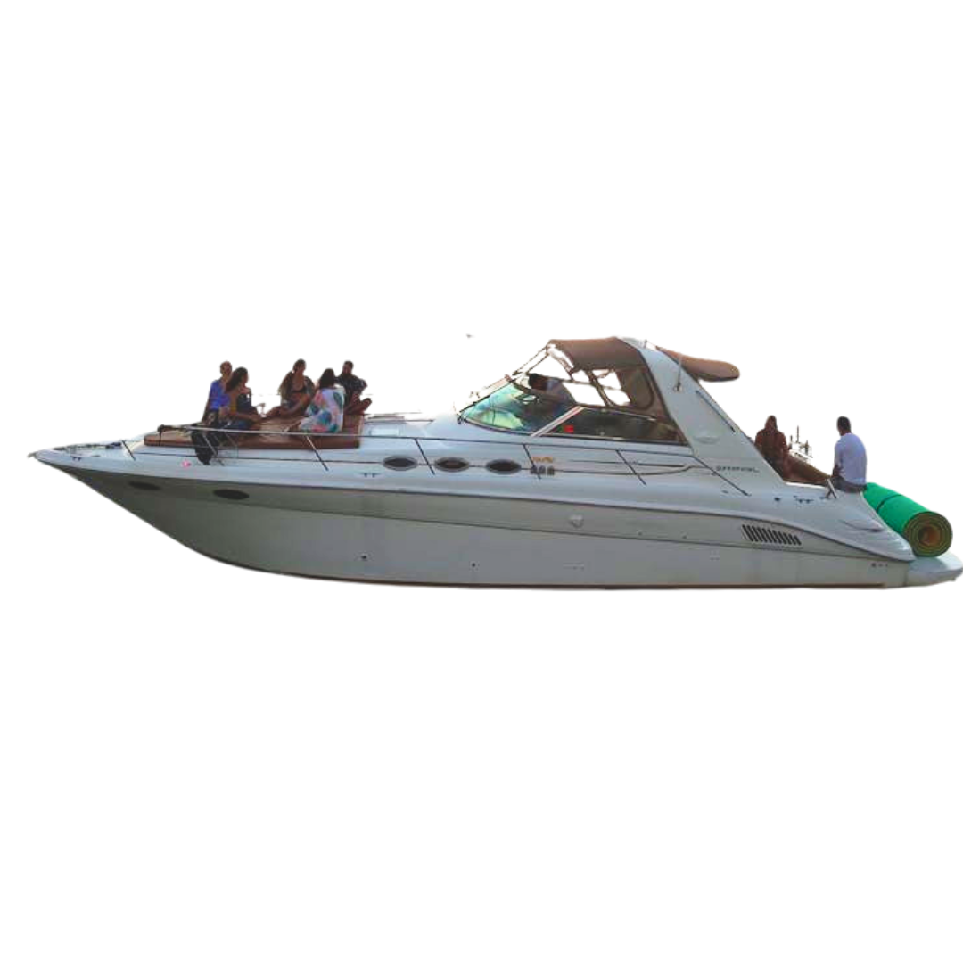 Private yacht charter